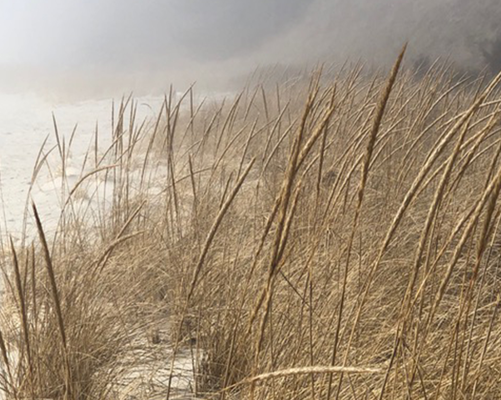 Featured photography by Prints By Peter